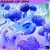 Buy Djuma Soundsystem & Nenahalena - Sagas Of Iziki / Chapter I (EP) Mp3 Download