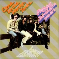 Purchase The Flying Burrito Brothers - Close Up The Honky-Tonks (Vinyl)