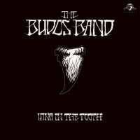 Purchase The Budos Band - Long in the Tooth