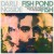 Buy Darlingside - Fish Pond Fish Mp3 Download
