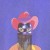Buy Orville Peck - Show Pony (EP) Mp3 Download