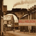 Buy Bill Nelson - New Northern Dream Mp3 Download