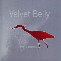 Purchase Velvet Belly - The Landing