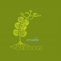 Purchase The Honeydogs - Amygdala