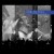 Buy Dave Matthews Band - Live Trax Vol. 51 Post-Gazette Pavilion CD2 Mp3 Download