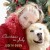 Buy Judith Owen - Christmas In July (EP) Mp3 Download