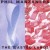 Buy Phil Manzanera - The Wasted Lands Mp3 Download