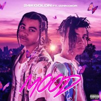 Purchase 24Kgoldn - Mood (CDS)