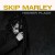 Buy Skip Marley - Higher Place Mp3 Download