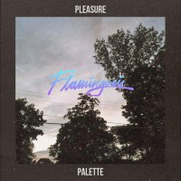 Purchase Flamingosis - Pleasure Palette