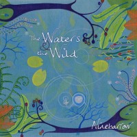 Purchase Ninebarrow - The Waters And The Wild