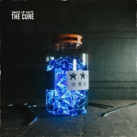 Purchase Wake Up Hate - The Cure (CDS)