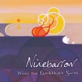 Buy Ninebarrow - While The Blackthorn Burns Mp3 Download