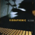 Buy Vibraphonic - On A Roll Mp3 Download