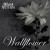 Buy A War Within - Wallflower (CDS) Mp3 Download
