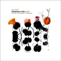 Purchase Paradoxical Frog - Union