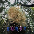 Buy Snarls - Burst Mp3 Download