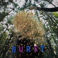 Purchase Snarls - Burst