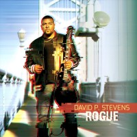 Purchase David P Stevens - Rogue