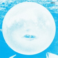 Purchase Wilco - Summerteeth (Deluxe Edition) CD1