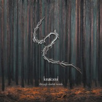 Purchase Lunatic Soul - Through Shaded Woods (Deluxe Edition)
