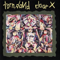 Purchase David Torn - Door X