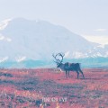 Buy Blamstrain - Tundra I-VII Mp3 Download