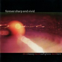 Purchase David Torn - Forever Sharp And Vivid