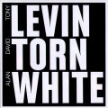 Buy David Torn - Levin Torn White Mp3 Download