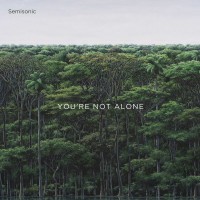 Purchase Semisonic - You're Not Alone (CDS)