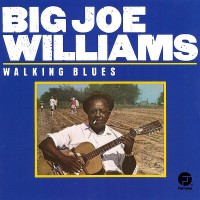 Purchase Big Joe Williams - Walking Blues (Vinyl)