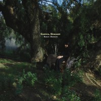 Purchase Sarah Davachi - Cantus, Descant