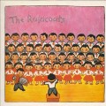 Buy The Raincoats - The Raincoats (Vinyl) Mp3 Download