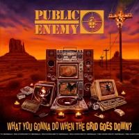 Purchase Public Enemy - What You Gonna Do When The Grid Goes Down?