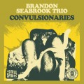 Buy Brandon Seabrook - Convulsionaries Mp3 Download