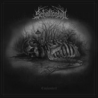 Purchase Schattenfall - Einsamkeit (EP)