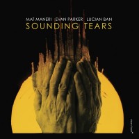 Purchase Mat Maneri - Sounding Tears (With Evan Parker & Lucian Ban)