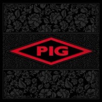 Purchase Pig - Candy