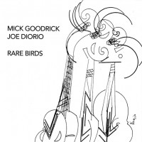 Purchase Mick Goodrick - Rare Birds (With Joe Diorio)