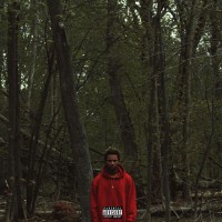 Purchase Night Lovell - Red Teenage Melody