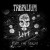 Buy Trepalium - From The Ground Mp3 Download