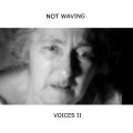 Buy Not Waving - Voices II Mp3 Download