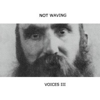 Purchase Not Waving - Voices III