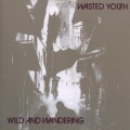 Buy Wasted Youth - Wild & Wandering (Reissued 2008) Mp3 Download