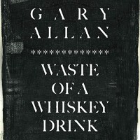 Purchase Gary Allan - Waste Of A Whiskey Drink (CDS)