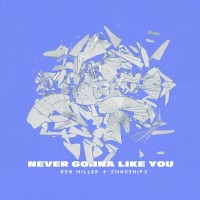 Purchase Bea Miller & Snakehips - Never Gonna Like You (CDS)