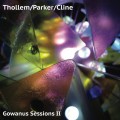 Buy Thollem Mcdonas & William Parker & Nels Cline - Gowanus Sessions II Mp3 Download