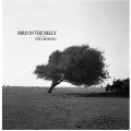 Buy Bird In The Belly - The Crowing Mp3 Download