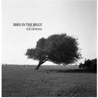 Purchase Bird In The Belly - The Crowing