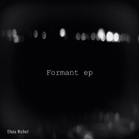 Purchase Data Rebel - Formant (EP)